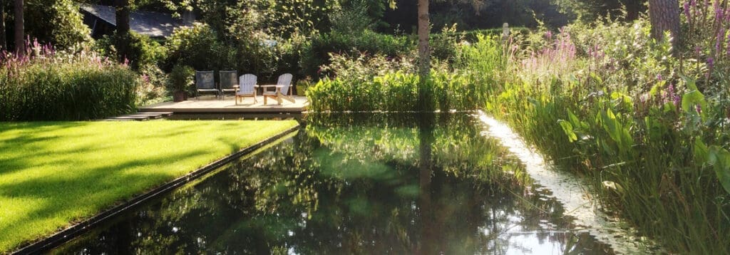 de zwemvijver met mooie waterplanten aan de zijkant