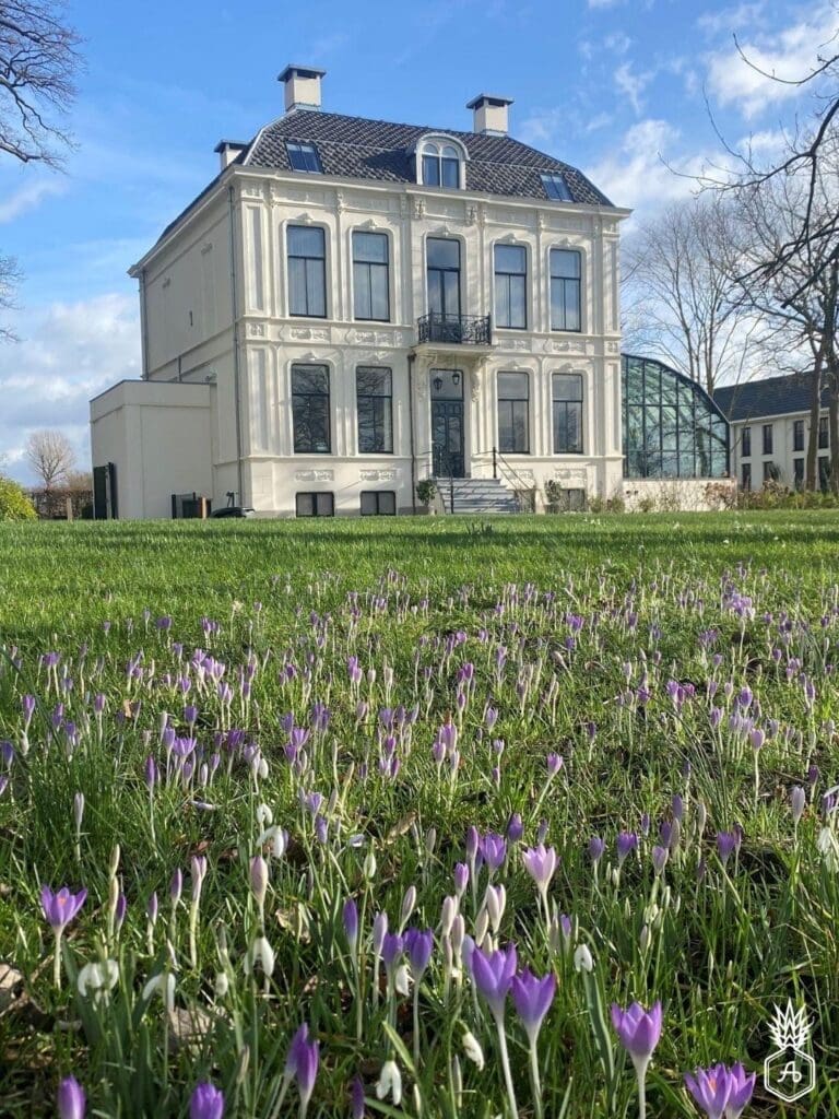 gazon die mooi in lentebloei staat met krokusjes