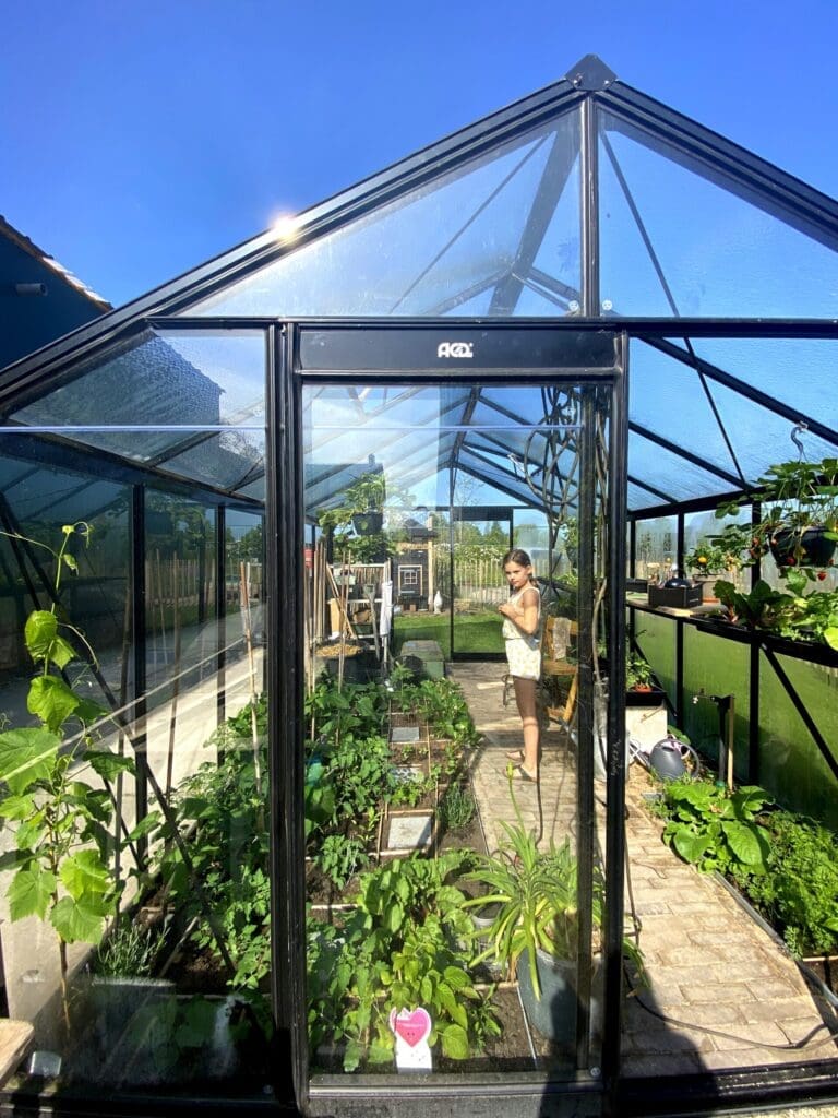 Kind in moestuinkasje met groenten en druivenboom en helder blauwe lucht.
