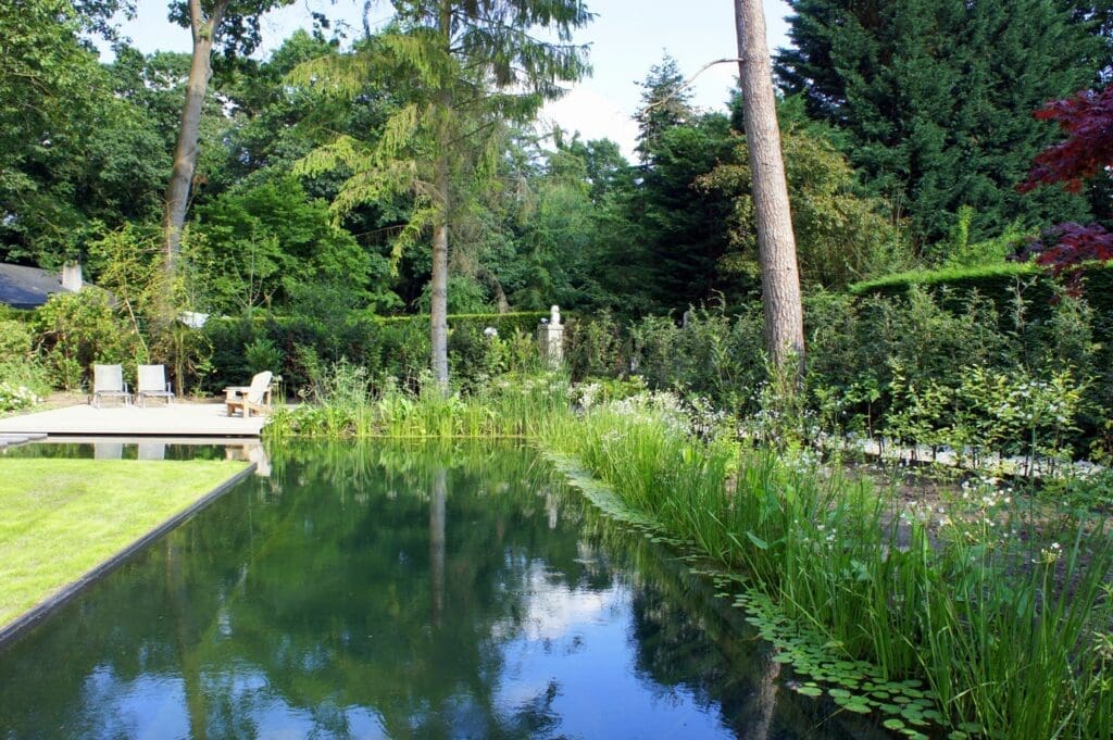zwemvijver in de mooie groene omgeving