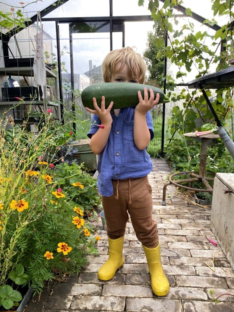 Kleuter jongetje met reuze courgette in zijn handen in moestuinkasje.