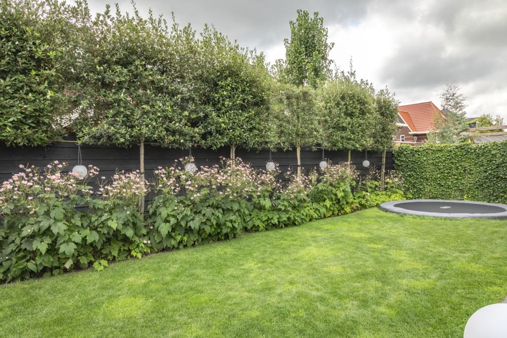 groot groen gazon met een trampoline er in