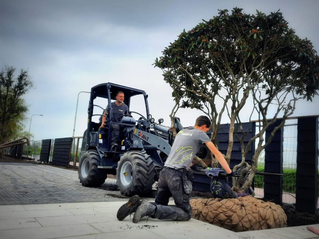 Proces 1 bomen plaatsen het zorgvuldig plaatsen van bomen