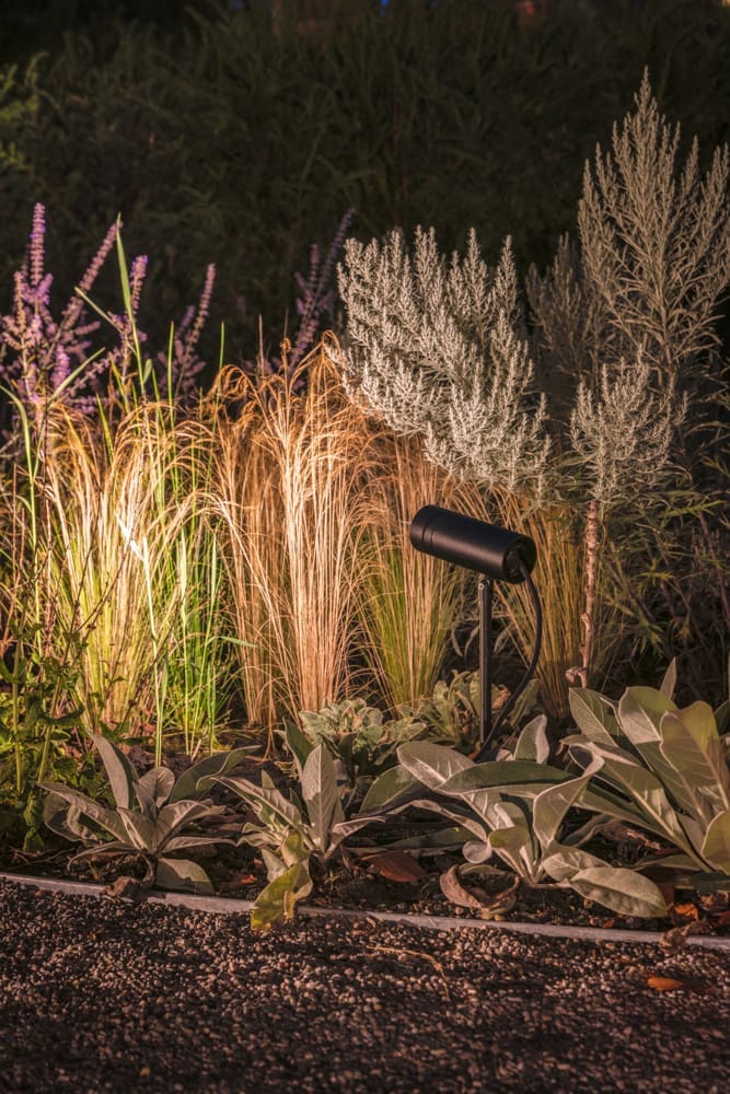 sfeervolle spotjes in de borders