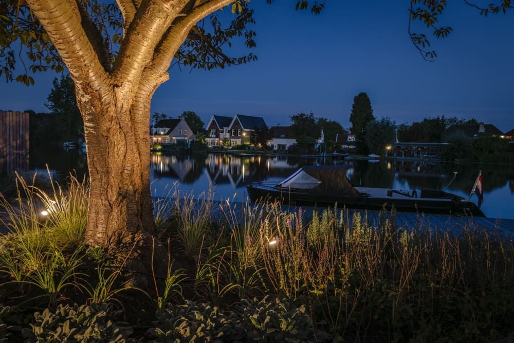 sfeer spotjes die de boom verlichten aan het water