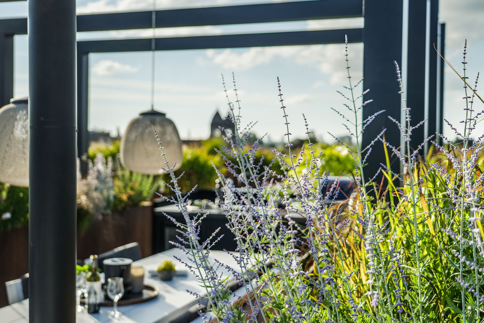 Mooi shot van de perovskia met eettafel op de achtergrond.