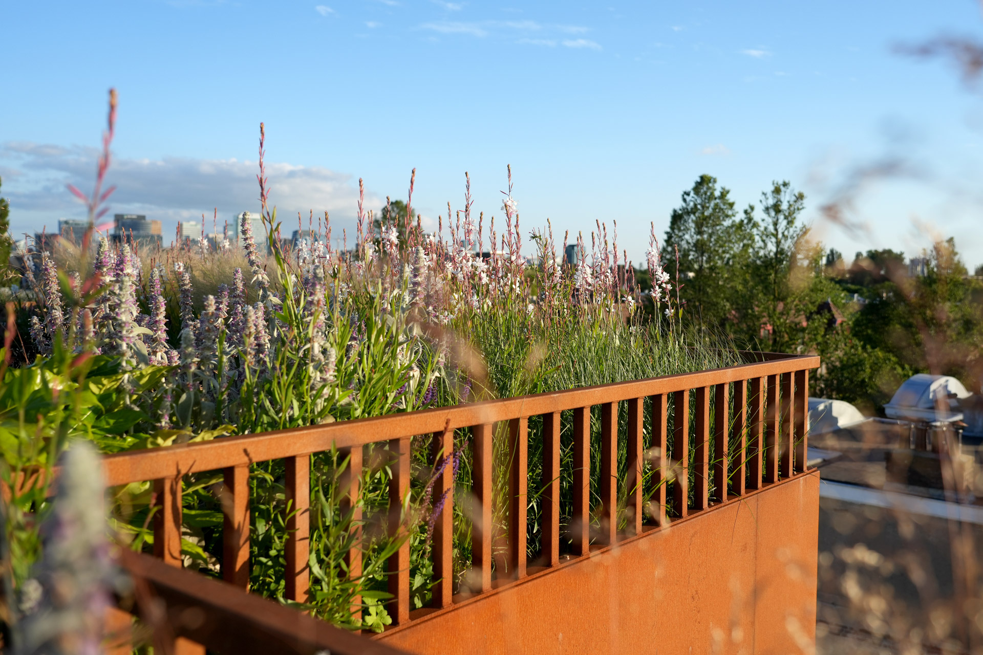 Randafwerking van het dakterras met cortenstaal.