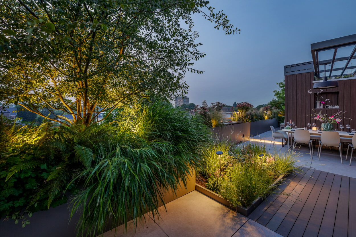 Groene meerstammige boom met spots.