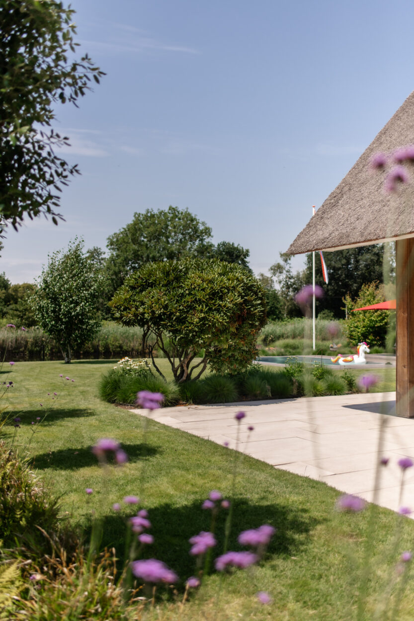 25 doorkijk Rhodondendron