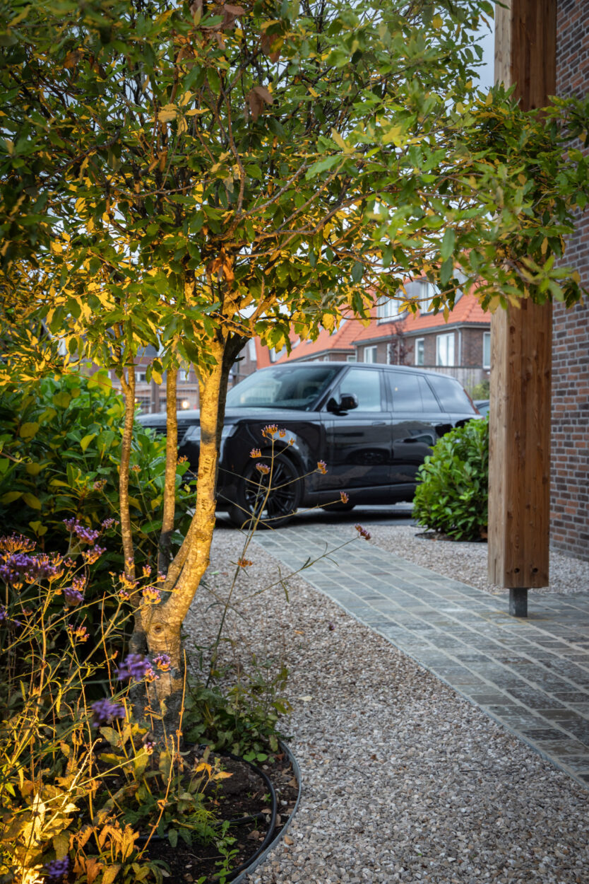 32 organische borders