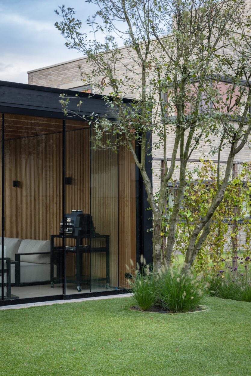 33 meerstammige Quercus Ilex