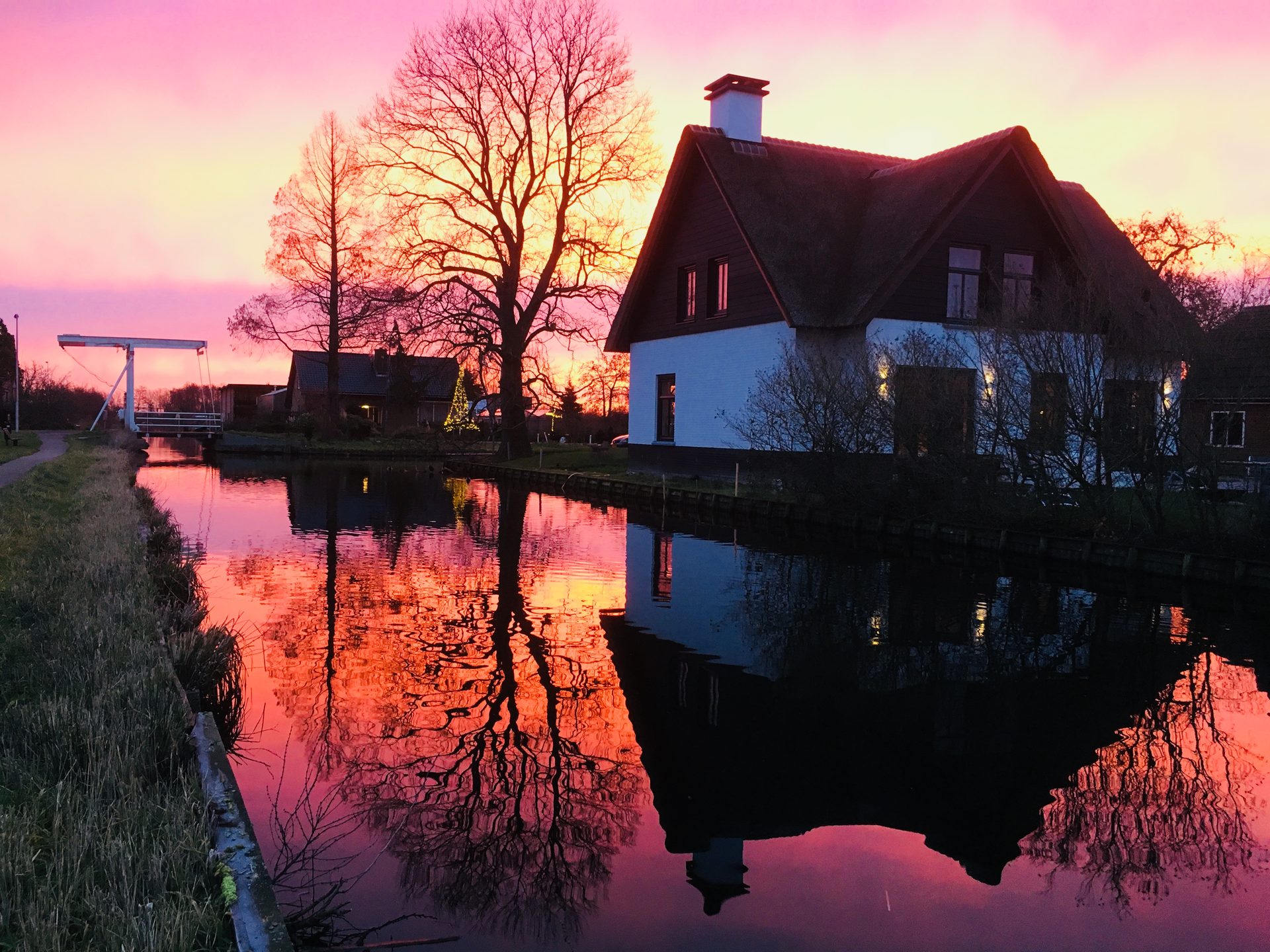 Zonsopkomst | Wild & Refined Country Garden in Reeuwijk