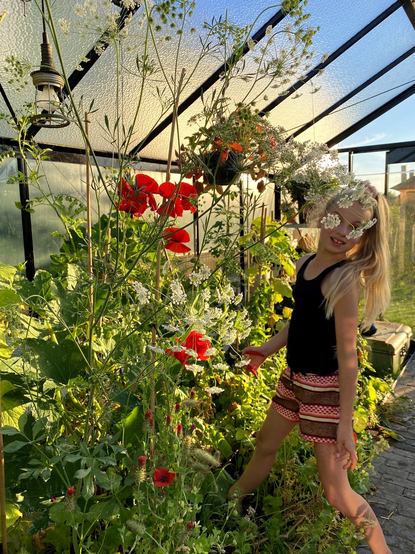 Moestuin | Wild & Refined Country Garden in Reeuwijk