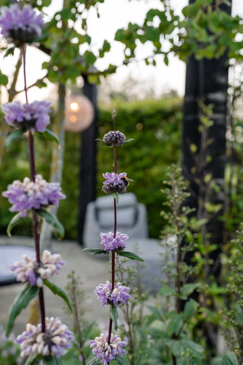 Beplanting | Wild & Refined Country Garden in Reeuwijk